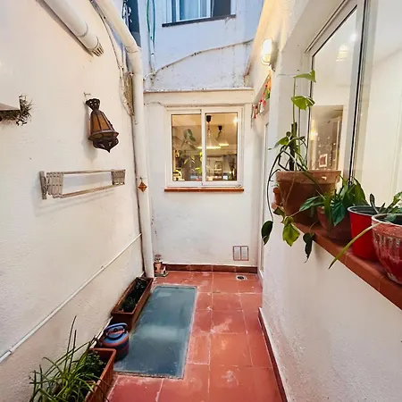 La Bruixota Del Castell Apartment